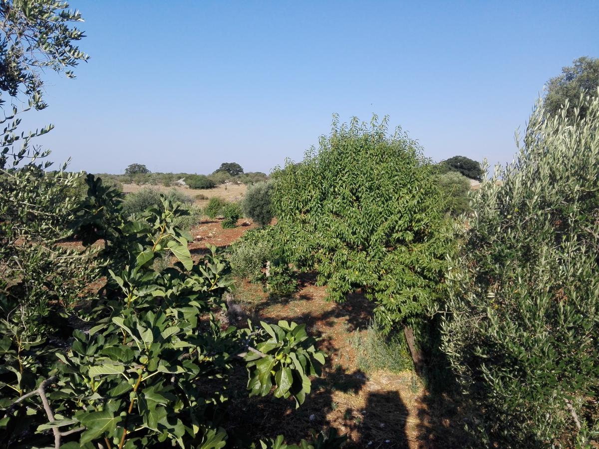 A Casa Di Clio Villa Ceglie Messapica Bagian luar foto